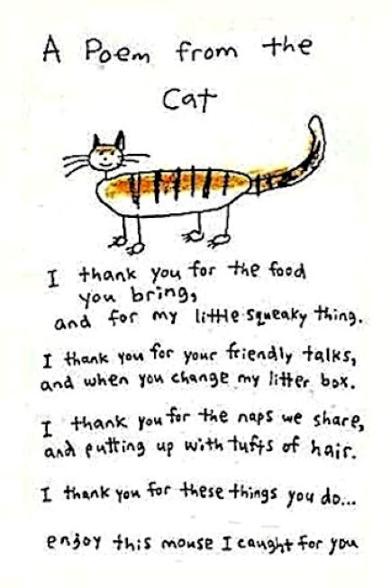 cat poem m e terry glenn.jpg
